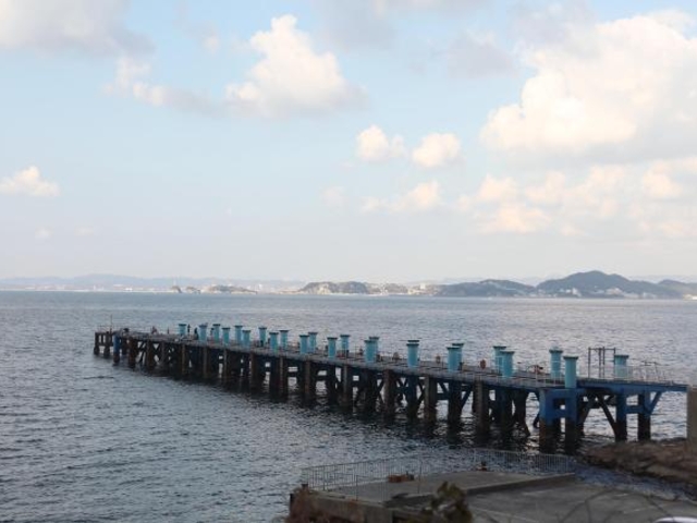 ������V���c�s�A�[�����h�i�C�ނ�����j�̎ʐ^1