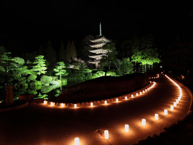 �R�����߂���L�̎ʐ^1