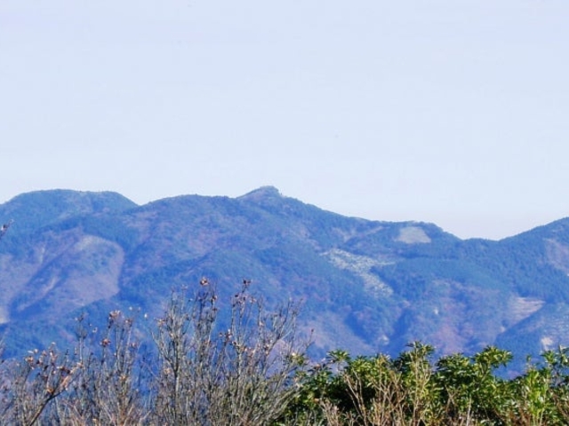 �J�����x_�J�����x