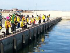 ��Ԃ狙�`�ނ�̌��̎ʐ^1