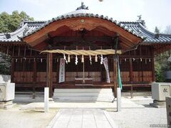 �{�|�����{�̎ʐ^1