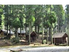 �^���q�@�؂̍������h�L�����v��̎ʐ^1