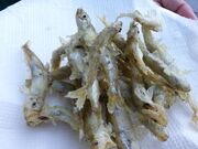 ��Ԃ狙�`�ނ�̌��̎ʐ^2