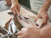 �l�̂�������n�������̌��̎ʐ^2