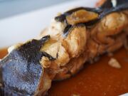 �l�̂�������n�������̌��̎ʐ^4