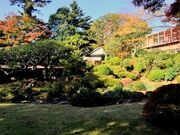 �ËH���̎ʐ^2