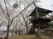 �c�؂���������̎ʐ^1