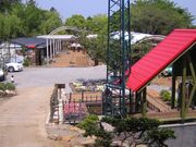 �߂����̊w�Z�̎ʐ^1