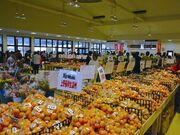 �Ƃꂽ�čL��̎ʐ^1