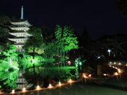 �R�����߂���L�̎ʐ^2