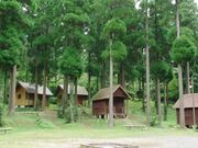 �^���q�@�؂̍������h�L�����v��̎ʐ^2