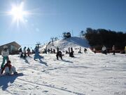 �܃����n�C�����h�X�L�[��̎ʐ^3