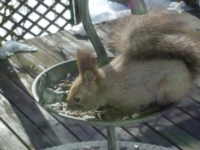 xR[][gX邫5_xR[][gX邫