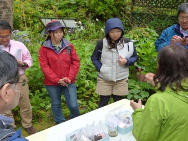 xR[][gX邫7_xR[][gX邫