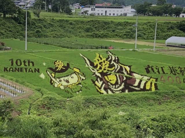 �Q�O�P�W�����c��ڃA�[�g_������Ё@��Ȋό��^�N�V�[