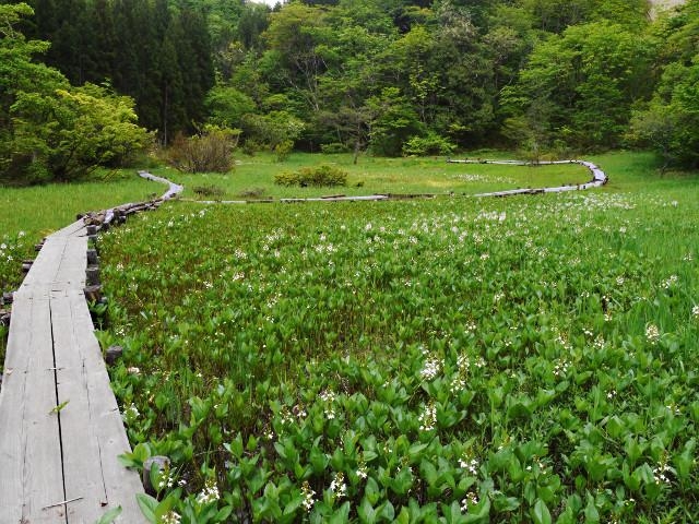 �Ď����̎ʐ^1