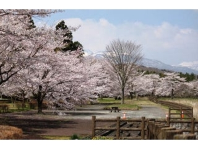 �x��e������