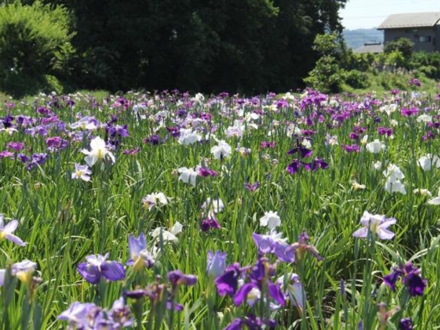 �����炬�̋��ԏҊ���