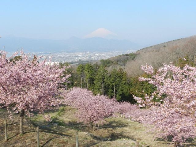 ��������߂̗�