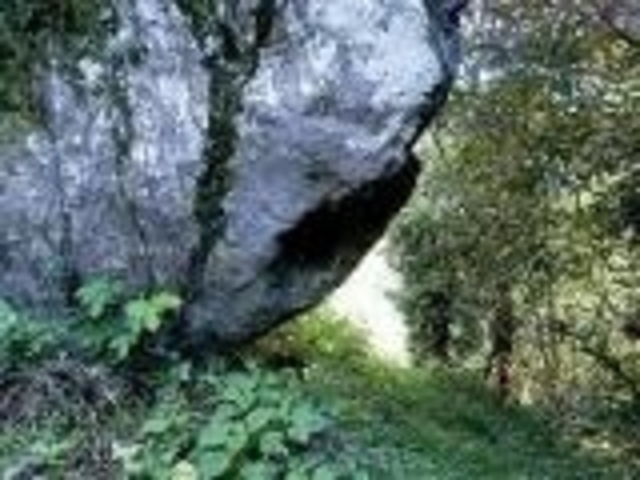 �O�@��t�̉����グ��̎ʐ^1