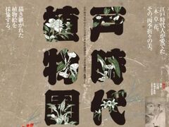 �������p�ق̎ʐ^1