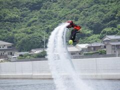 �t���C�{�[�h�̎ʐ^1