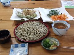 �]�F�̉Ԃ̎ʐ^1