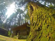 ��{�_�Ђ̎ʐ^3