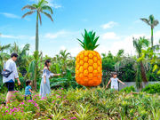 �i�S�p�C�i�b�v���p�[�N�̎ʐ^3