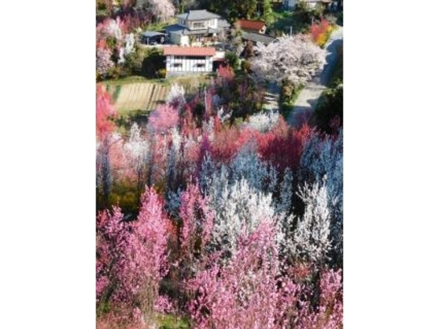 �Ԃ₵������