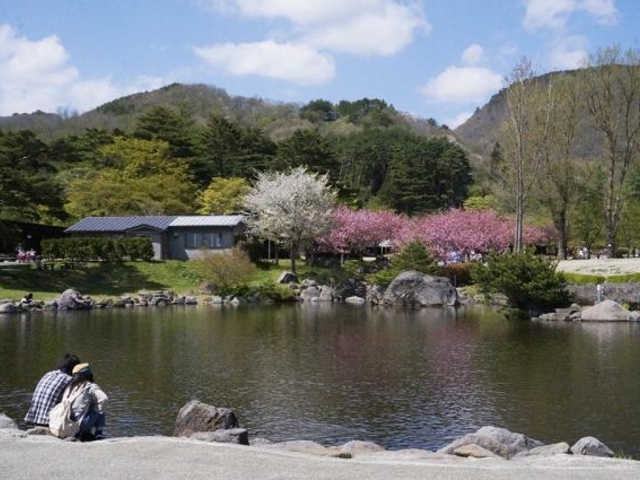 ��⥂ӂꂠ���q��̍��̎ʐ^1