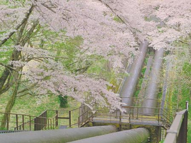 �|�V�����d���̎ʐ^1