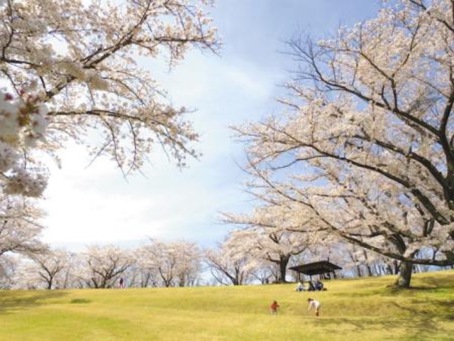 ���������ƈ���������̗��̎ʐ^1