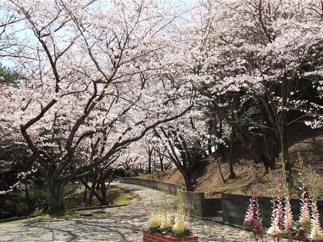 �u�ƕ��������̎ʐ^1