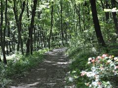 �΍�̐X�̎ʐ^1