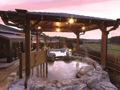 酒々井温泉 湯楽の里の写真1