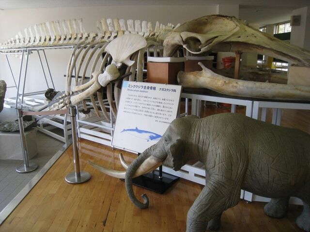 ����s�������ٕ��ٌˉB�n�����Δ����ق̎ʐ^1