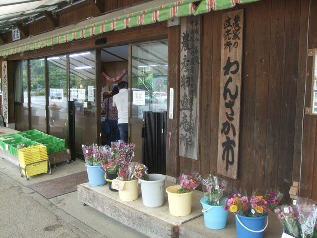 ��񂳂��s�̎ʐ^1