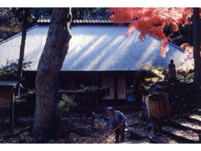 ��������̎ʐ^1