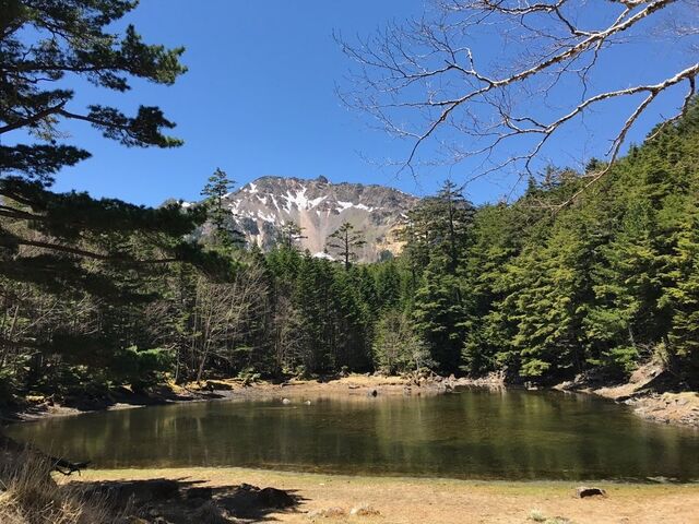 �݂ǂ�r�@�̎ʐ^1