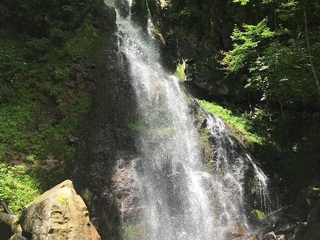 ���x�̑�i�₽���̂����j�̎ʐ^1