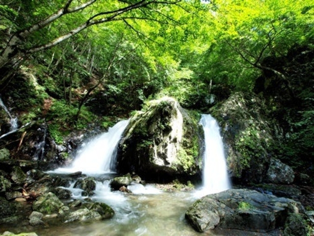 �����̑�̎ʐ^1