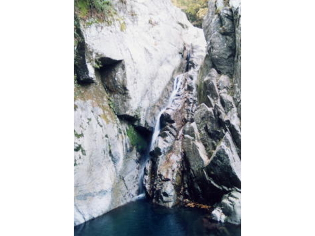 ���˂̑�̎ʐ^1