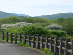 矢出川公園の写真1