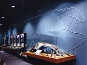 ����s�������ٕ��ٌˉB�n�����Δ����ق̎ʐ^2