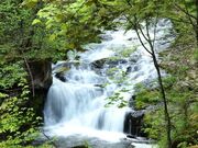 ����䍂�����R���̎ʐ^3