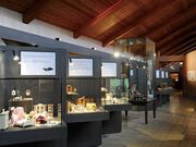 �G���c�������ᔎ���فE�y���̎ʐ^4