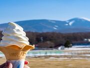 ����q��̎ʐ^2