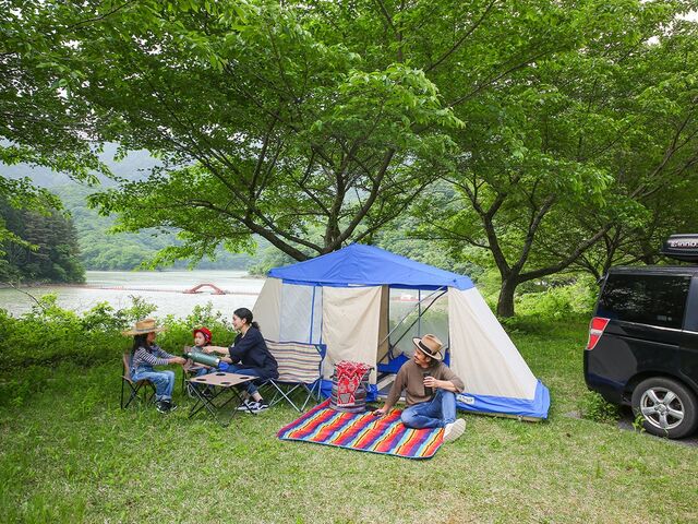 ��q���X�ь����I�[�g�L�����v��̎ʐ^1