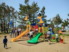 海浜公園の写真1